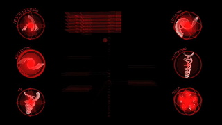 Web Intro